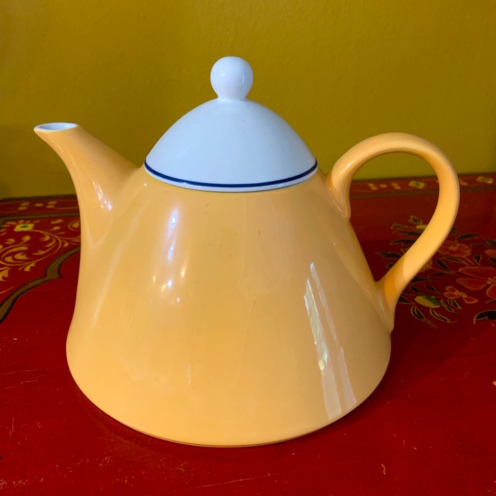 PAGNOSSIN Treviso Orange Spa Teapot, crate & barrel